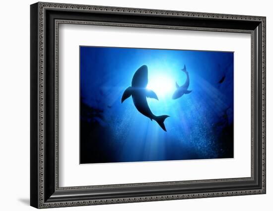 Under the Waves Circle Two Great White Sharks. Illustration-solarseven-Framed Photographic Print