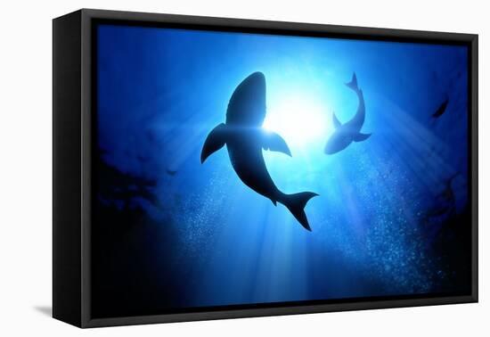 Under the Waves Circle Two Great White Sharks. Illustration-solarseven-Framed Premier Image Canvas