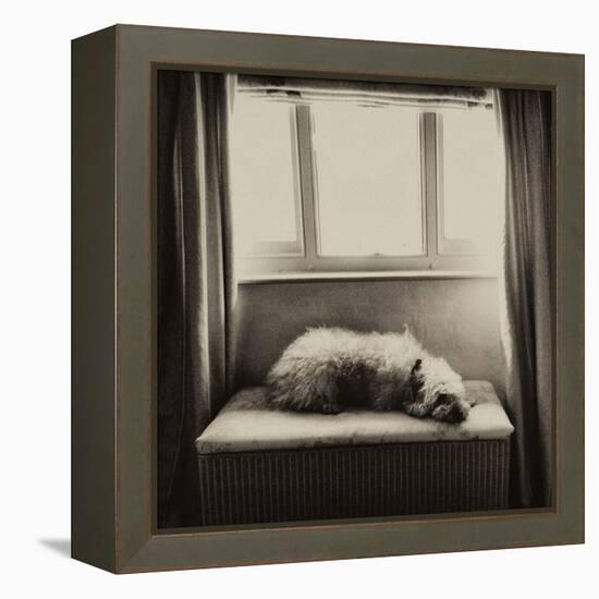 Under the Window-Tim Kahane-Framed Premier Image Canvas