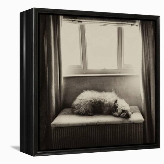 Under the Window-Tim Kahane-Framed Premier Image Canvas