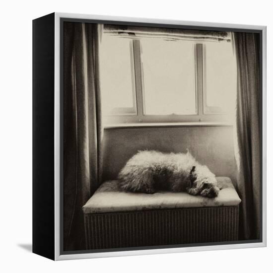 Under the Window-Tim Kahane-Framed Premier Image Canvas