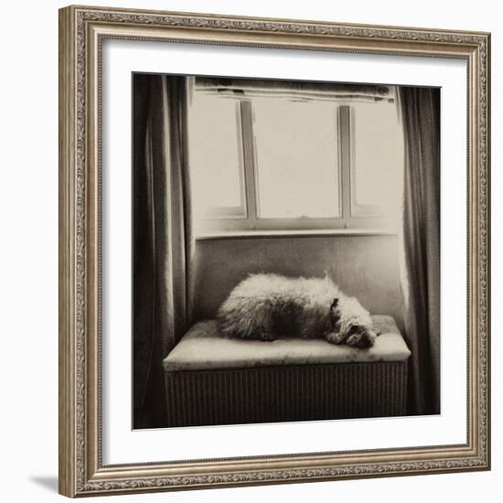 Under the Window-Tim Kahane-Framed Photographic Print