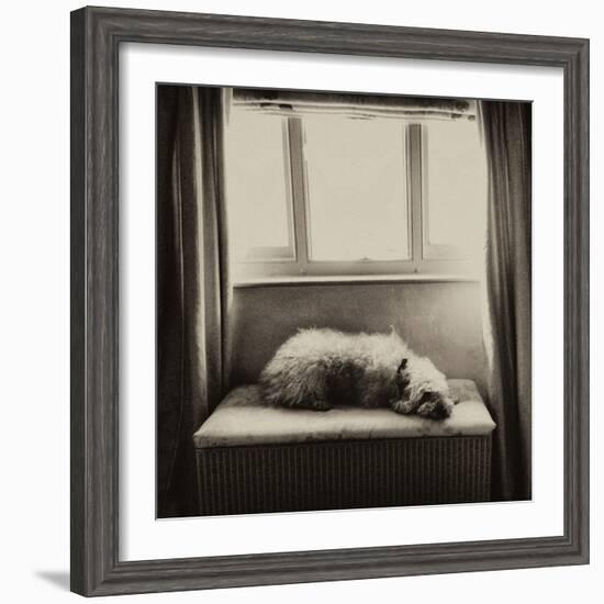 Under the Window-Tim Kahane-Framed Photographic Print