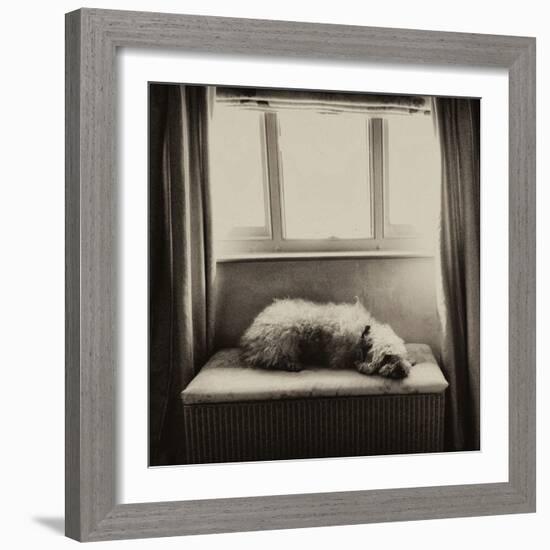 Under the Window-Tim Kahane-Framed Photographic Print