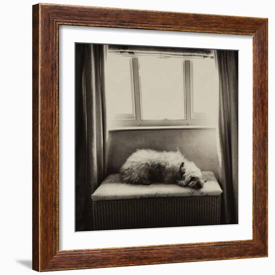 Under the Window-Tim Kahane-Framed Photographic Print