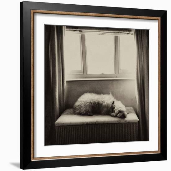 Under the Window-Tim Kahane-Framed Photographic Print