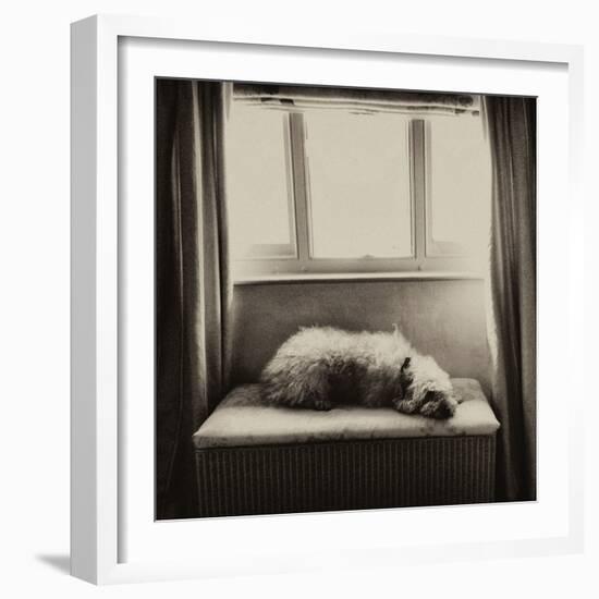 Under the Window-Tim Kahane-Framed Photographic Print