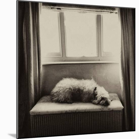 Under the Window-Tim Kahane-Mounted Photographic Print