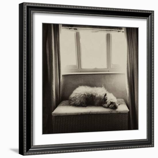 Under the Window-Tim Kahane-Framed Photographic Print