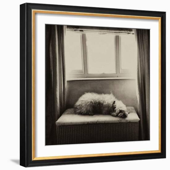 Under the Window-Tim Kahane-Framed Photographic Print