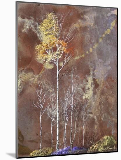 Under Watchful Branches-Trevor V. Swanson-Mounted Giclee Print