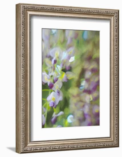 Under Wisteria, 2018-Helen White-Framed Photographic Print