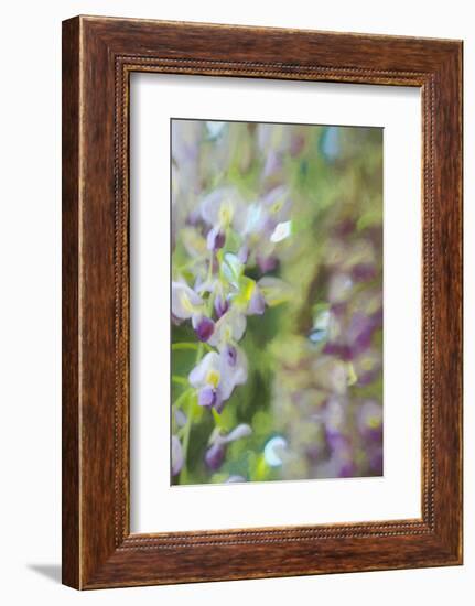 Under Wisteria, 2018-Helen White-Framed Photographic Print