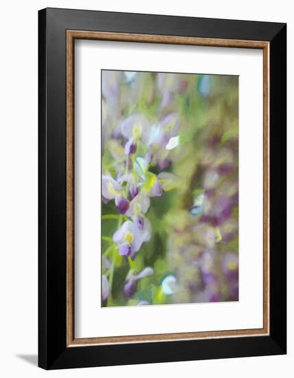 Under Wisteria, 2018-Helen White-Framed Photographic Print