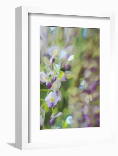 Under Wisteria, 2018-Helen White-Framed Photographic Print