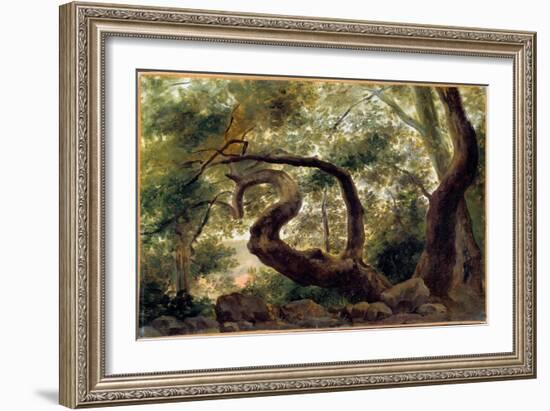 Under Wood, Trees with Twisting Branches Painting by Pierre H. De Valenciennes (1750-1850) 19Th Cen-Pierre Henri de Valenciennes-Framed Giclee Print