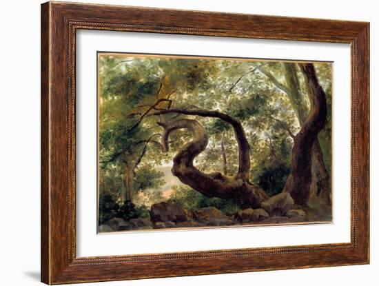 Under Wood, Trees with Twisting Branches Painting by Pierre H. De Valenciennes (1750-1850) 19Th Cen-Pierre Henri de Valenciennes-Framed Giclee Print