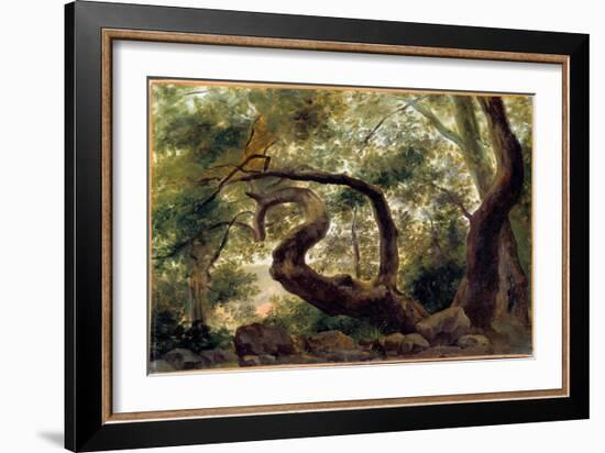 Under Wood, Trees with Twisting Branches Painting by Pierre H. De Valenciennes (1750-1850) 19Th Cen-Pierre Henri de Valenciennes-Framed Giclee Print