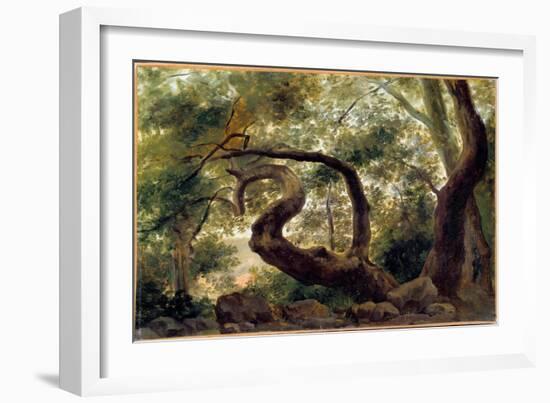 Under Wood, Trees with Twisting Branches Painting by Pierre H. De Valenciennes (1750-1850) 19Th Cen-Pierre Henri de Valenciennes-Framed Giclee Print