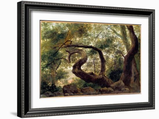 Under Wood, Trees with Twisting Branches Painting by Pierre H. De Valenciennes (1750-1850) 19Th Cen-Pierre Henri de Valenciennes-Framed Giclee Print