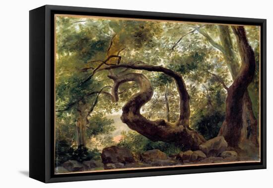 Under Wood, Trees with Twisting Branches Painting by Pierre H. De Valenciennes (1750-1850) 19Th Cen-Pierre Henri de Valenciennes-Framed Premier Image Canvas
