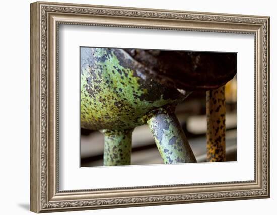 Underbelly-Dana Styber-Framed Photographic Print