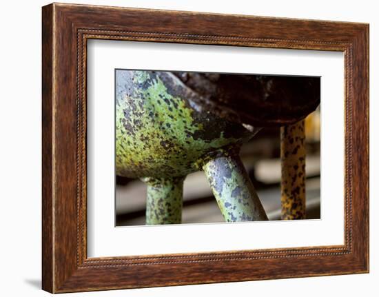 Underbelly-Dana Styber-Framed Photographic Print