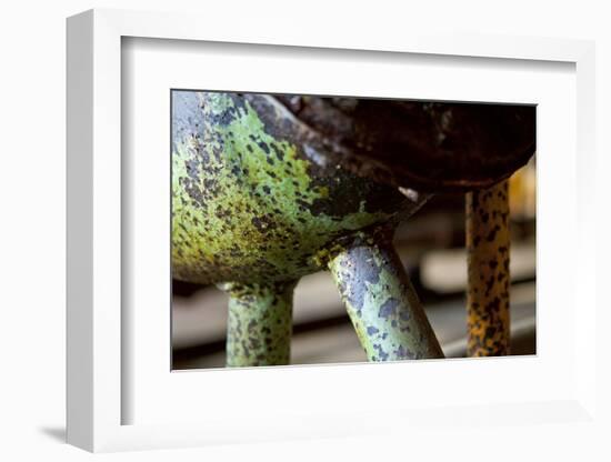 Underbelly-Dana Styber-Framed Photographic Print