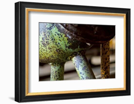 Underbelly-Dana Styber-Framed Photographic Print