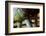 Underbelly-Dana Styber-Framed Photographic Print