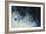 Undercurrent-Kari Taylor-Framed Giclee Print