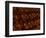 Underground Wine Cellar, Champagne Francois Seconde, Sillery Grand Cru-Per Karlsson-Framed Photographic Print