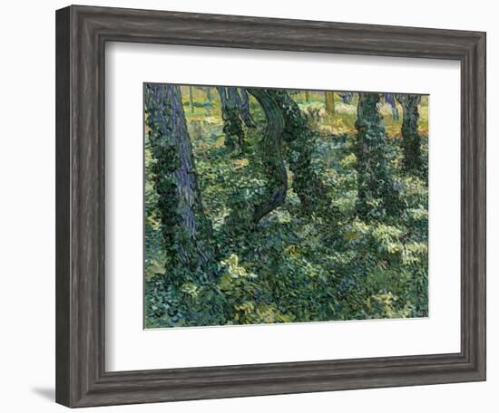 Undergrowth, 1889-Vincent van Gogh-Framed Giclee Print