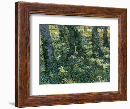 Undergrowth, 1889-Vincent van Gogh-Framed Giclee Print