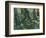 Undergrowth, 1889-Vincent van Gogh-Framed Giclee Print