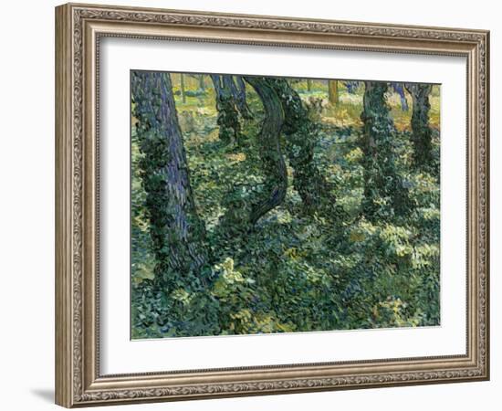 Undergrowth, 1889-Vincent van Gogh-Framed Giclee Print