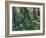 Undergrowth, 1889-Vincent van Gogh-Framed Giclee Print