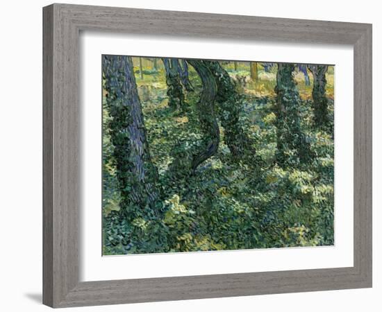 Undergrowth, 1889-Vincent van Gogh-Framed Giclee Print