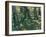 Undergrowth, 1889-Vincent van Gogh-Framed Giclee Print