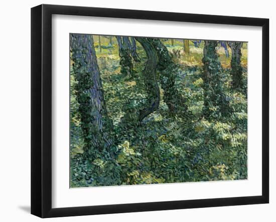Undergrowth, 1889-Vincent van Gogh-Framed Giclee Print