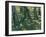 Undergrowth, 1889-Vincent van Gogh-Framed Giclee Print