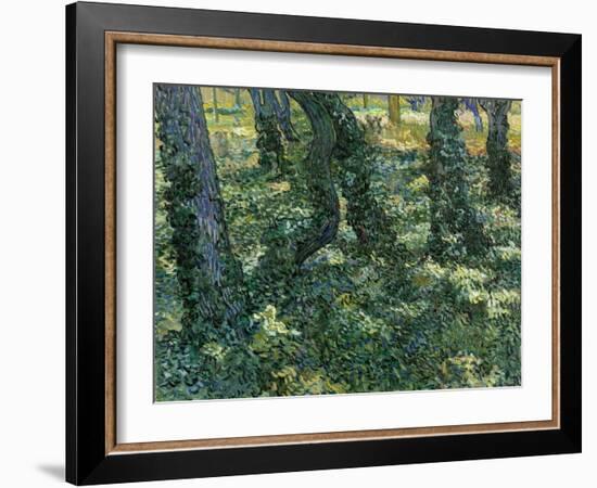 Undergrowth, 1889-Vincent van Gogh-Framed Giclee Print