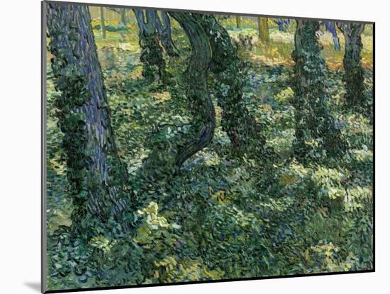 Undergrowth, 1889-Vincent van Gogh-Mounted Giclee Print