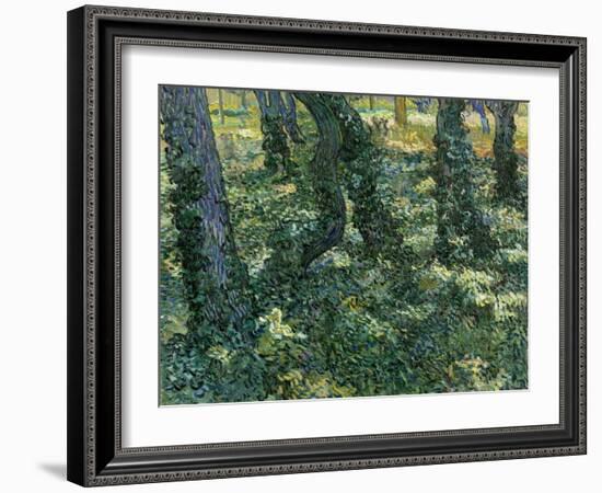 Undergrowth, 1889-Vincent van Gogh-Framed Giclee Print