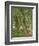 Undergrowth at Moret, 1902-Camille Pissarro-Framed Giclee Print