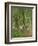 Undergrowth at Moret, 1902-Camille Pissarro-Framed Giclee Print