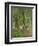 Undergrowth at Moret, 1902-Camille Pissarro-Framed Giclee Print