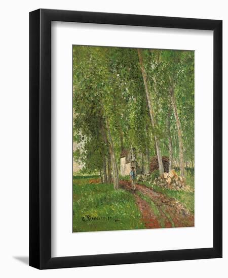 Undergrowth at Moret, 1902-Camille Pissarro-Framed Giclee Print