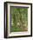 Undergrowth at Moret, 1902-Camille Pissarro-Framed Giclee Print