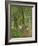 Undergrowth at Moret, 1902-Camille Pissarro-Framed Giclee Print